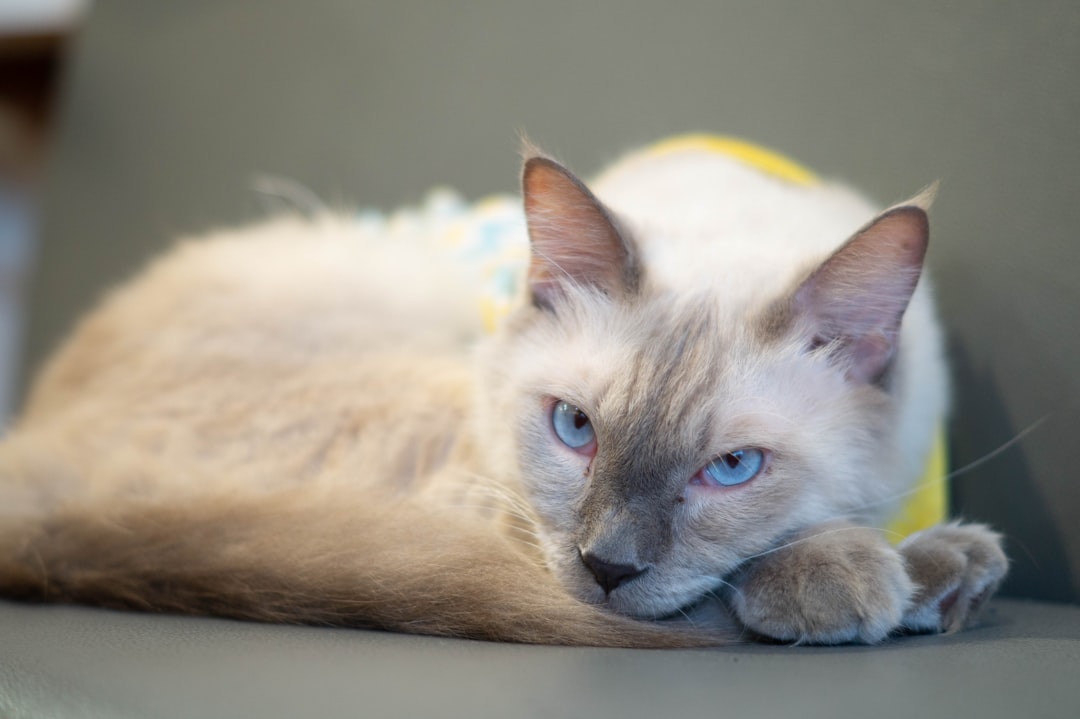 Alleen op reis, samen genieten: waarom single reizen zo populair zijn