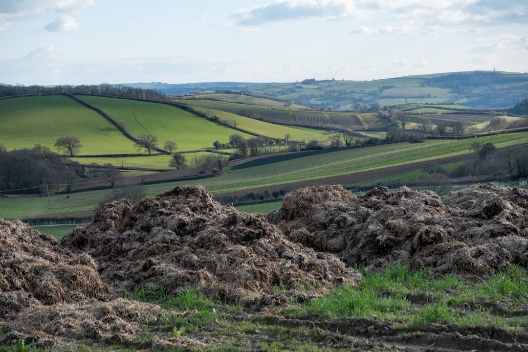 Alles wat je moet weten over reizen naar Engeland en populaire bestemmingen