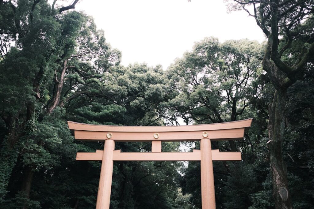 Japan: een reis vol bijzondere bestemmingen en ervaringen