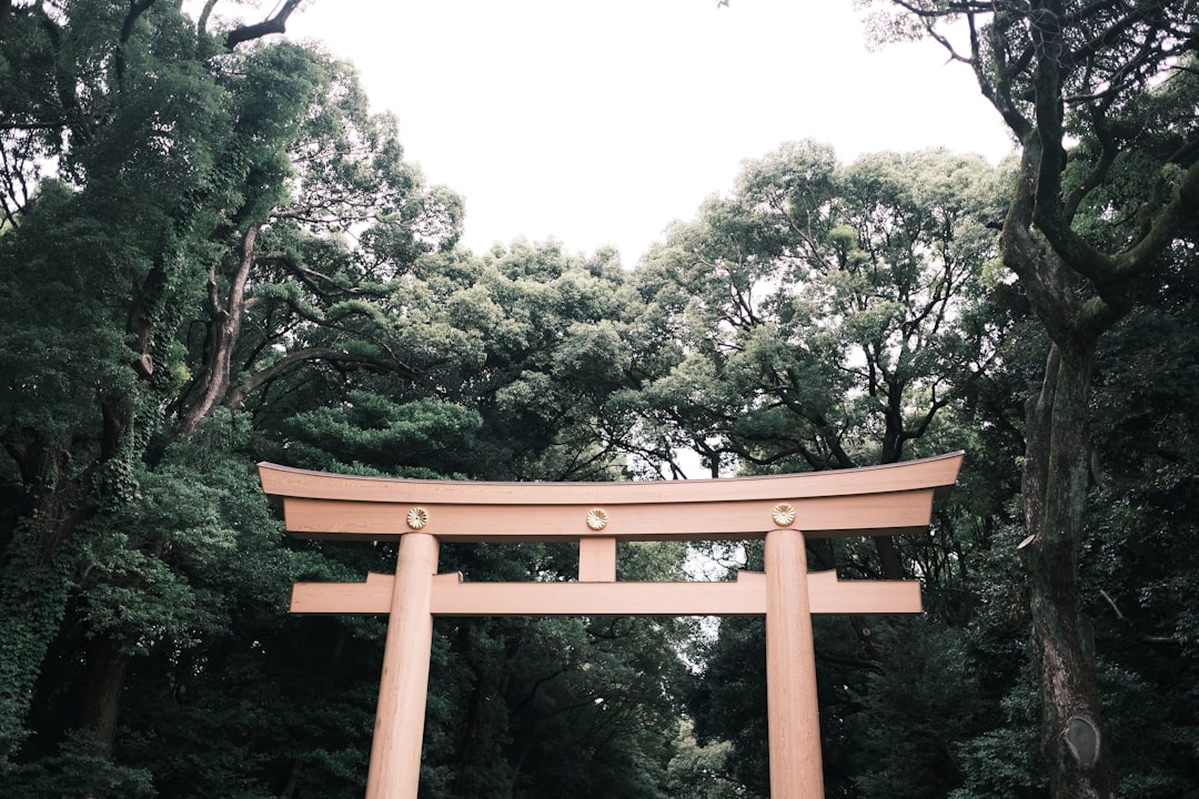 Japan: een reis vol bijzondere bestemmingen en ervaringen