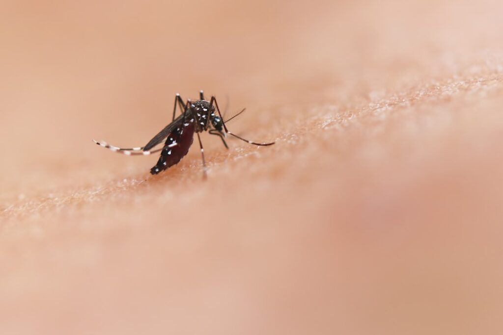 Dengue in Sri Lanka: uitbraak 2026 en wat je moet weten
